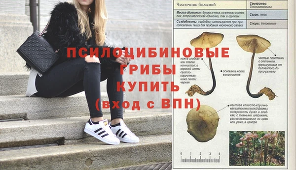 героин Балахна